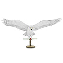 PS2007 Hedwig