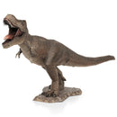ME1006 Tyrannosaurus Rex