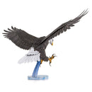 PS2017 Bald Eagle