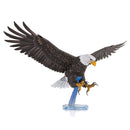 PS2017 Bald Eagle