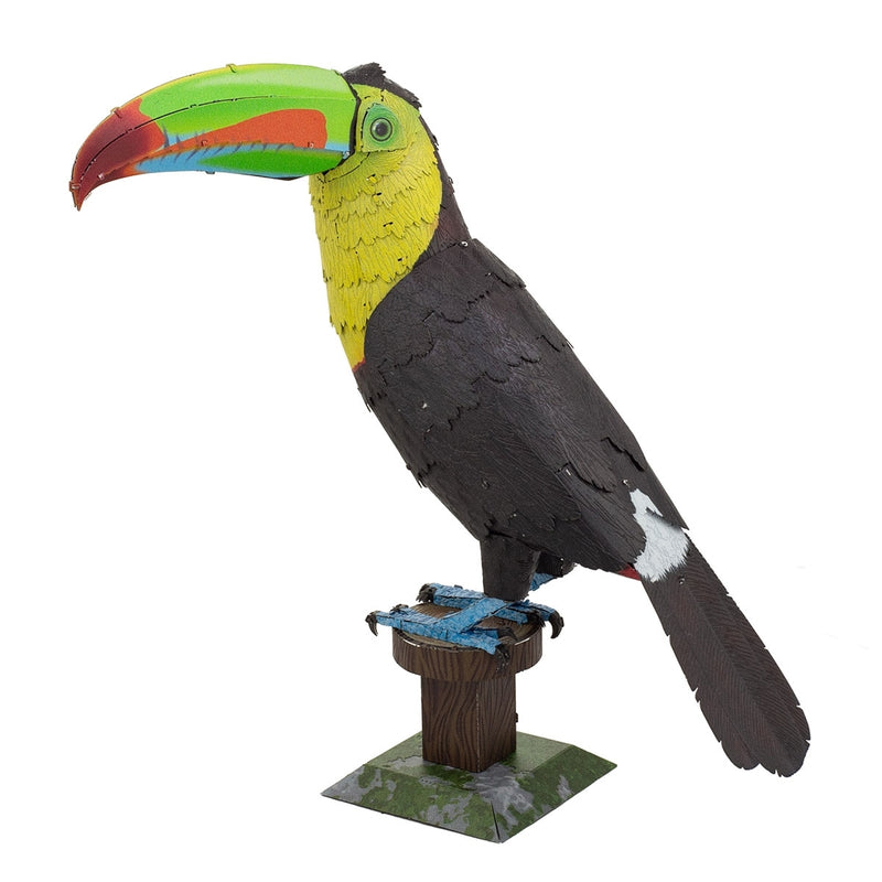 ME1020 Keel-billed Toucan