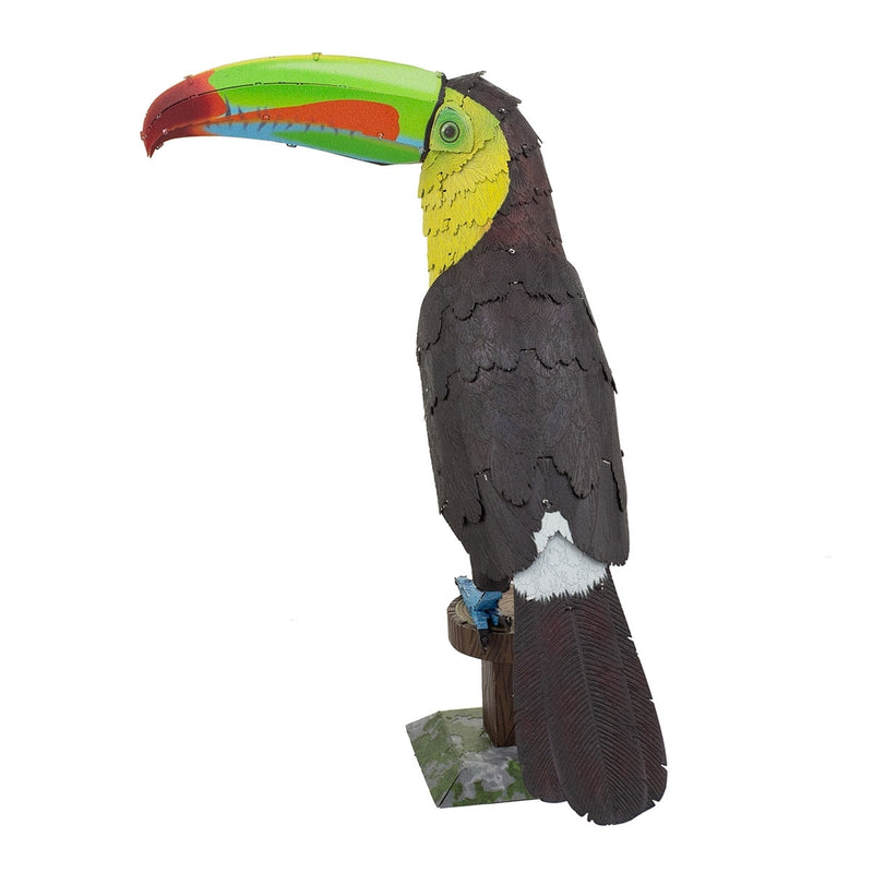 ME1020 Keel-billed Toucan