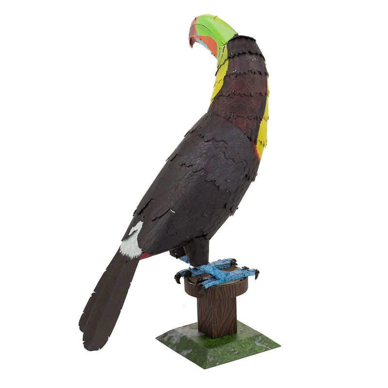 ME1020 Keel-billed Toucan