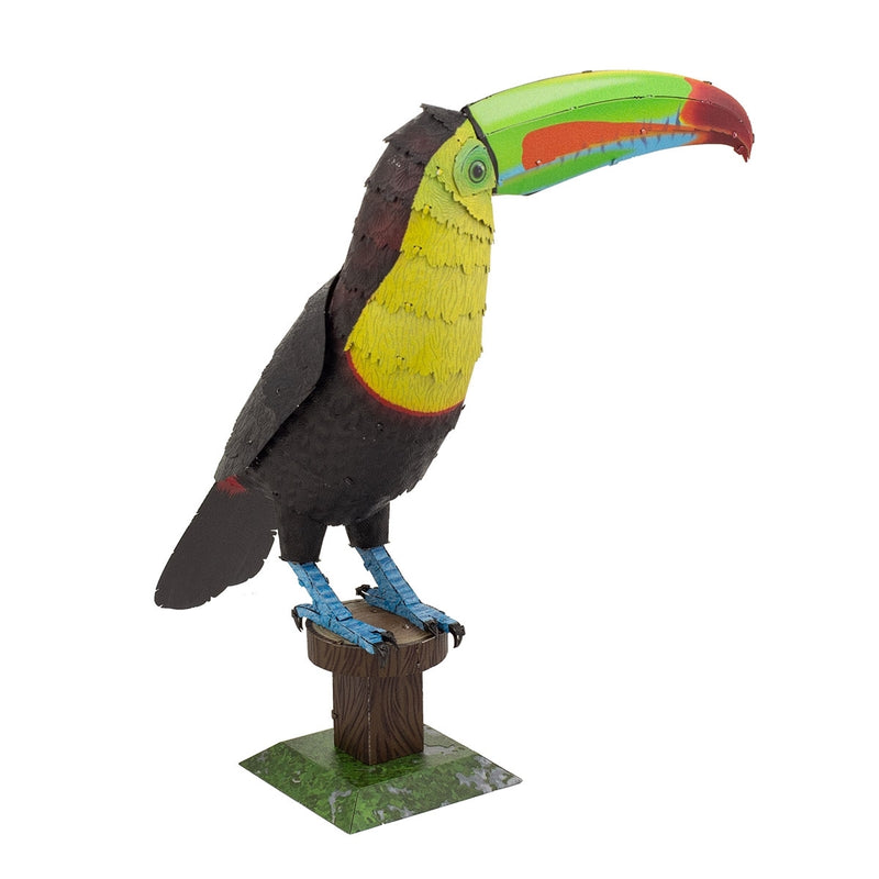 ME1020 Keel-billed Toucan