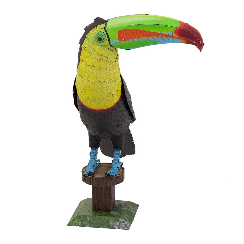 ME1020 Keel-billed Toucan