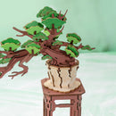 Evergreen Pine Bonsai 3D Wooden Flower Puzzle