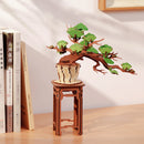 Evergreen Pine Bonsai 3D Wooden Flower Puzzle