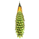 Metal Earth Premium Series Peacock-Metal Earth-At Play Toys
