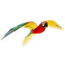 Metal Earth Premium Series Parrot-Metal Earth-At Play Toys